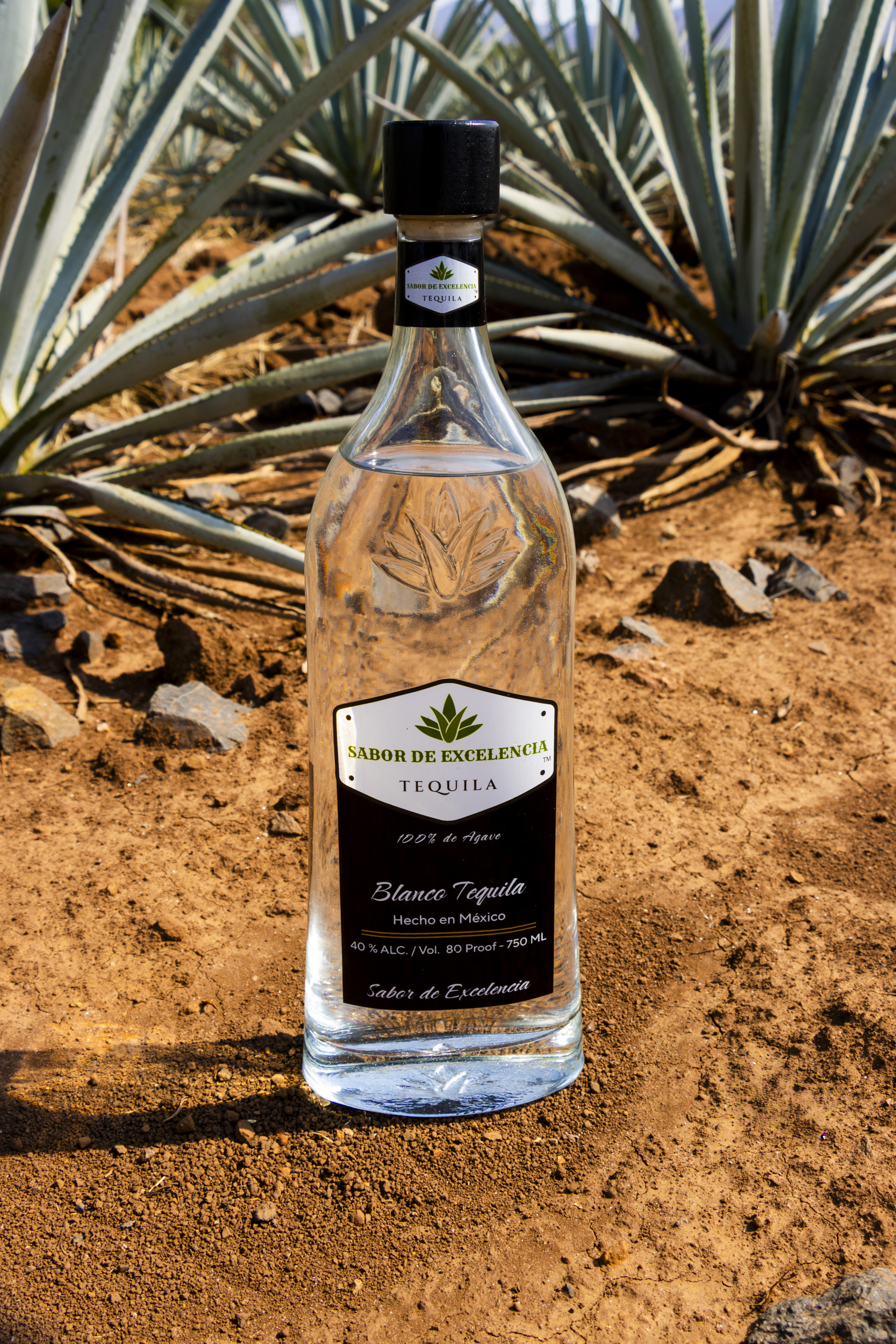 Tequila blanco agave